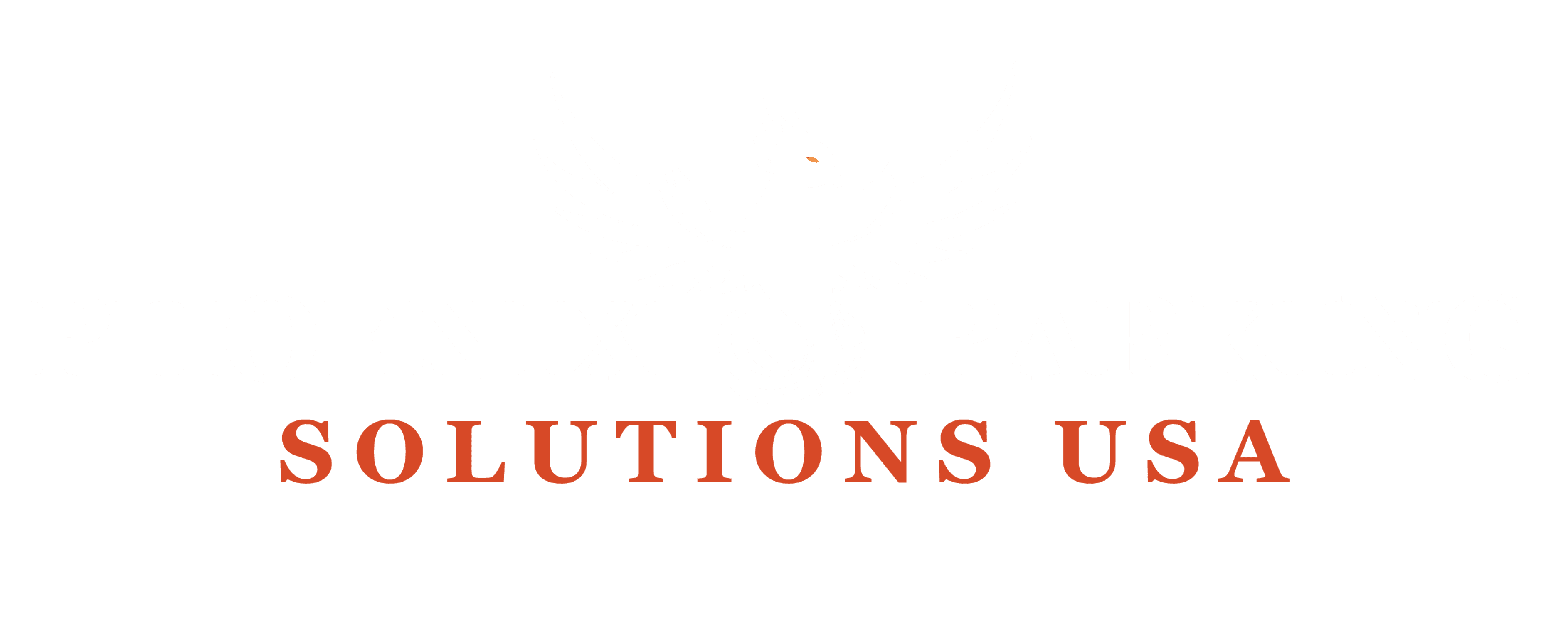 Phoenix Parking Solutions USA